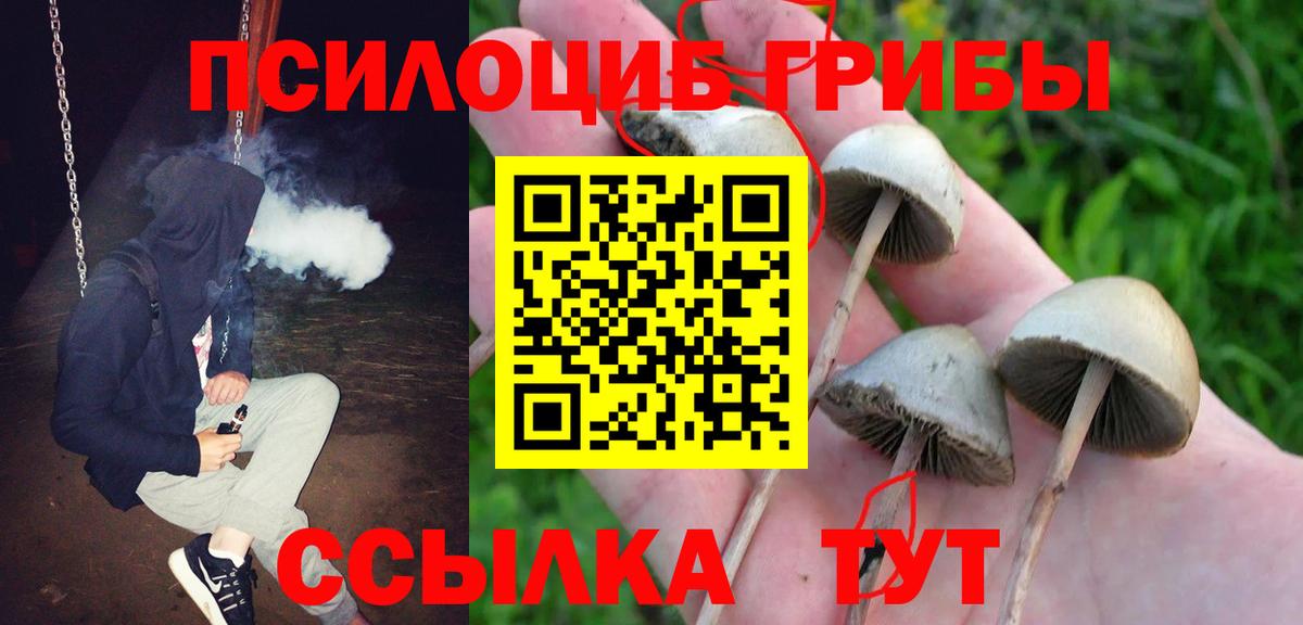Ковров  Галлюциногенные грибы MAGIC MUSHROOMS  Вход с VPN 
